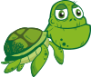 footer_turtle